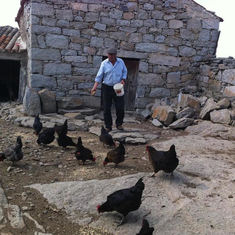 Casa Rural El Linaje De Los Cinco Sombreros Гальегос-де-Сан-Висенте Экстерьер фото